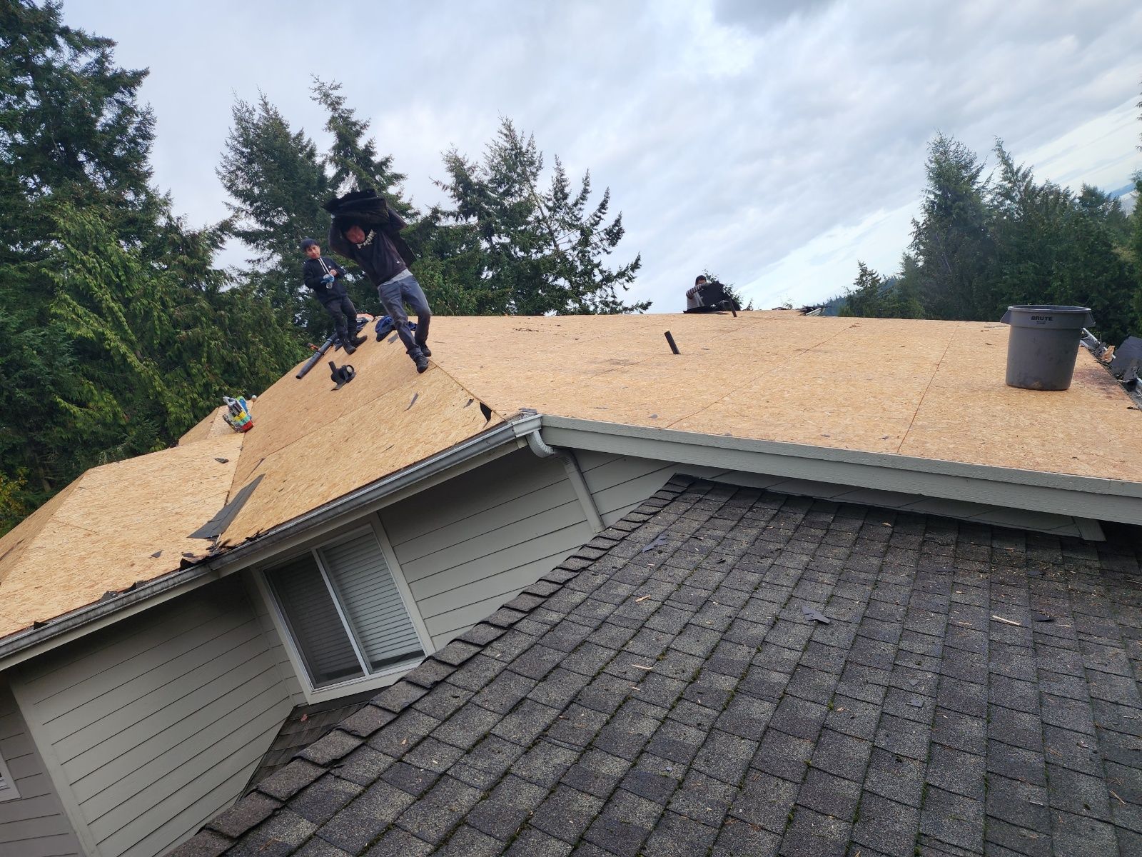 Roof installation in Kitsap county