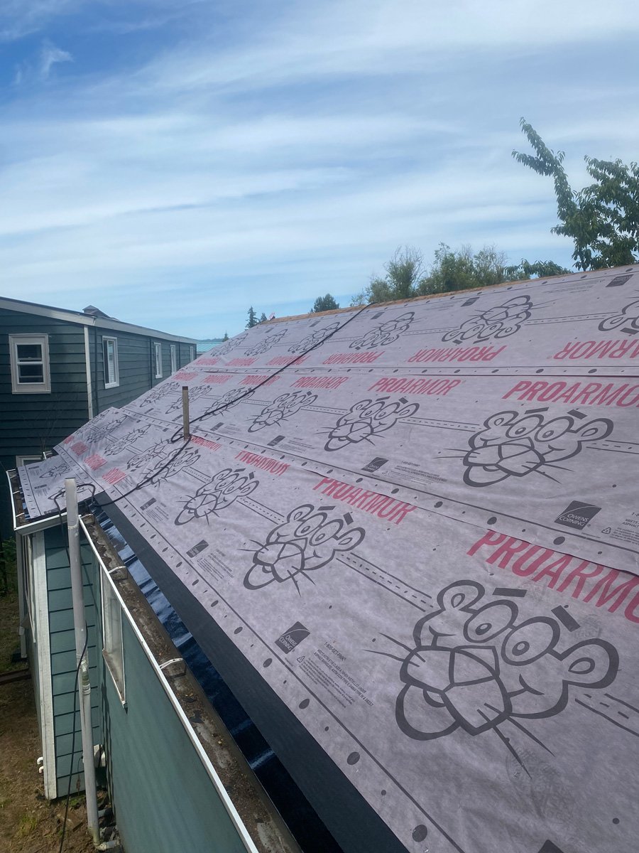 Repairing Roof